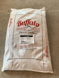 Seed: Alfalfa, Northern Origin Seed