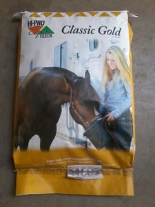 Horse: Classic Gold Textured