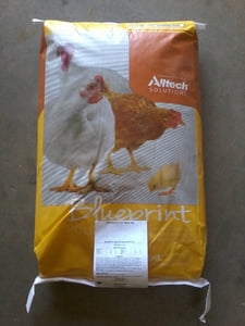 Chicken: Blueprint 20% Layer Pellet