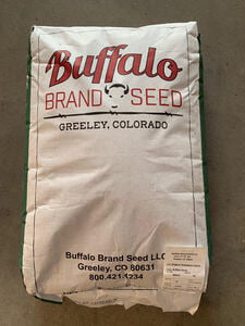 Seed: Buffalo Honey