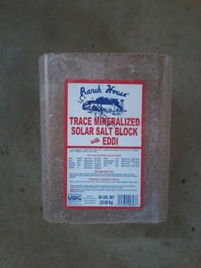 Salt: EDDI
